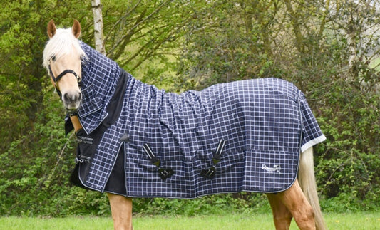 Rhinegold Elite Montpelier Full Neck Combo Outdoor Rug❣️