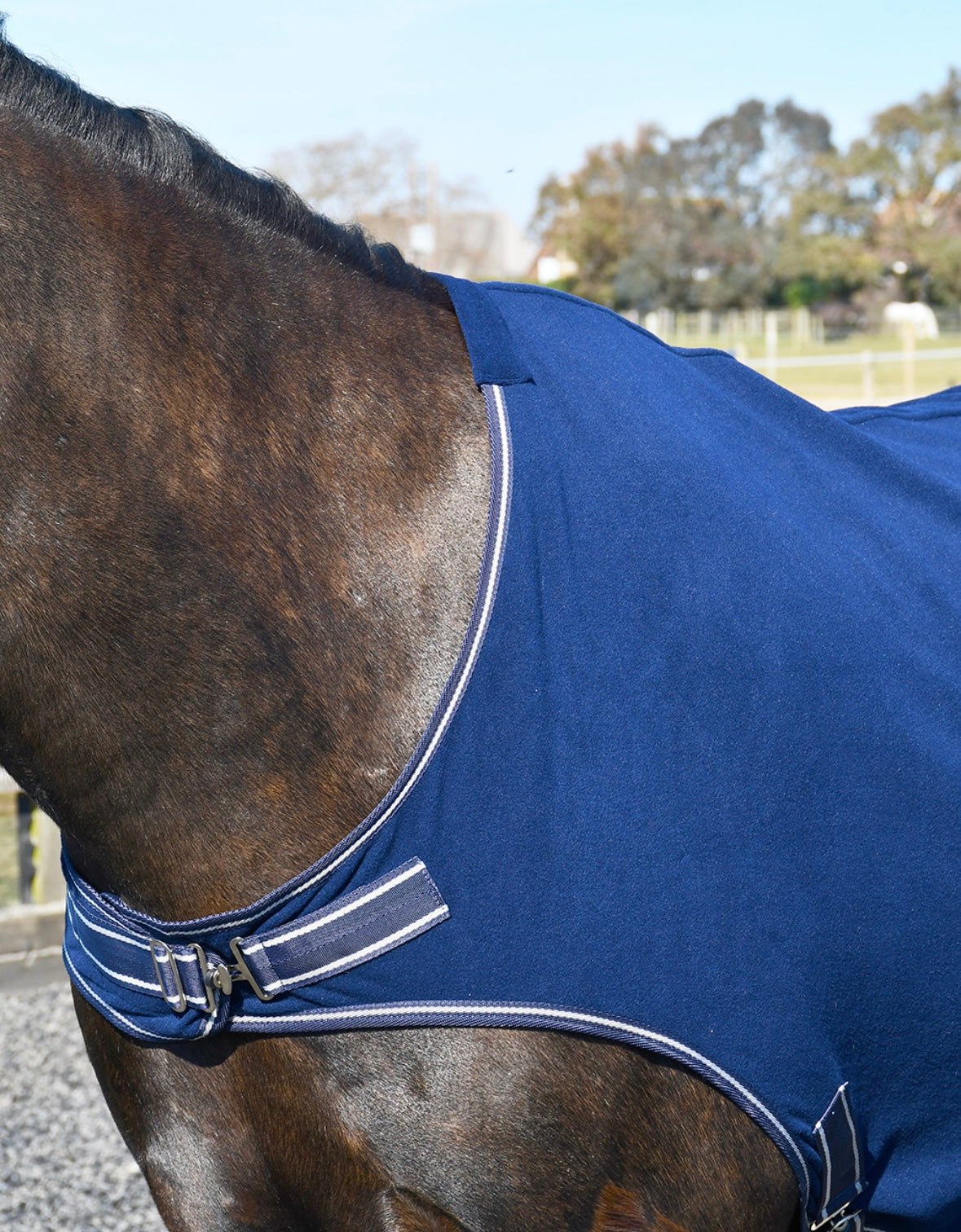 New rhinegold fleece horse walker / lunge rug❣️