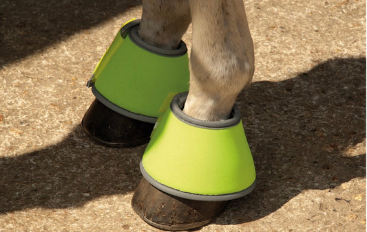 New reflective over reach boots ❣️