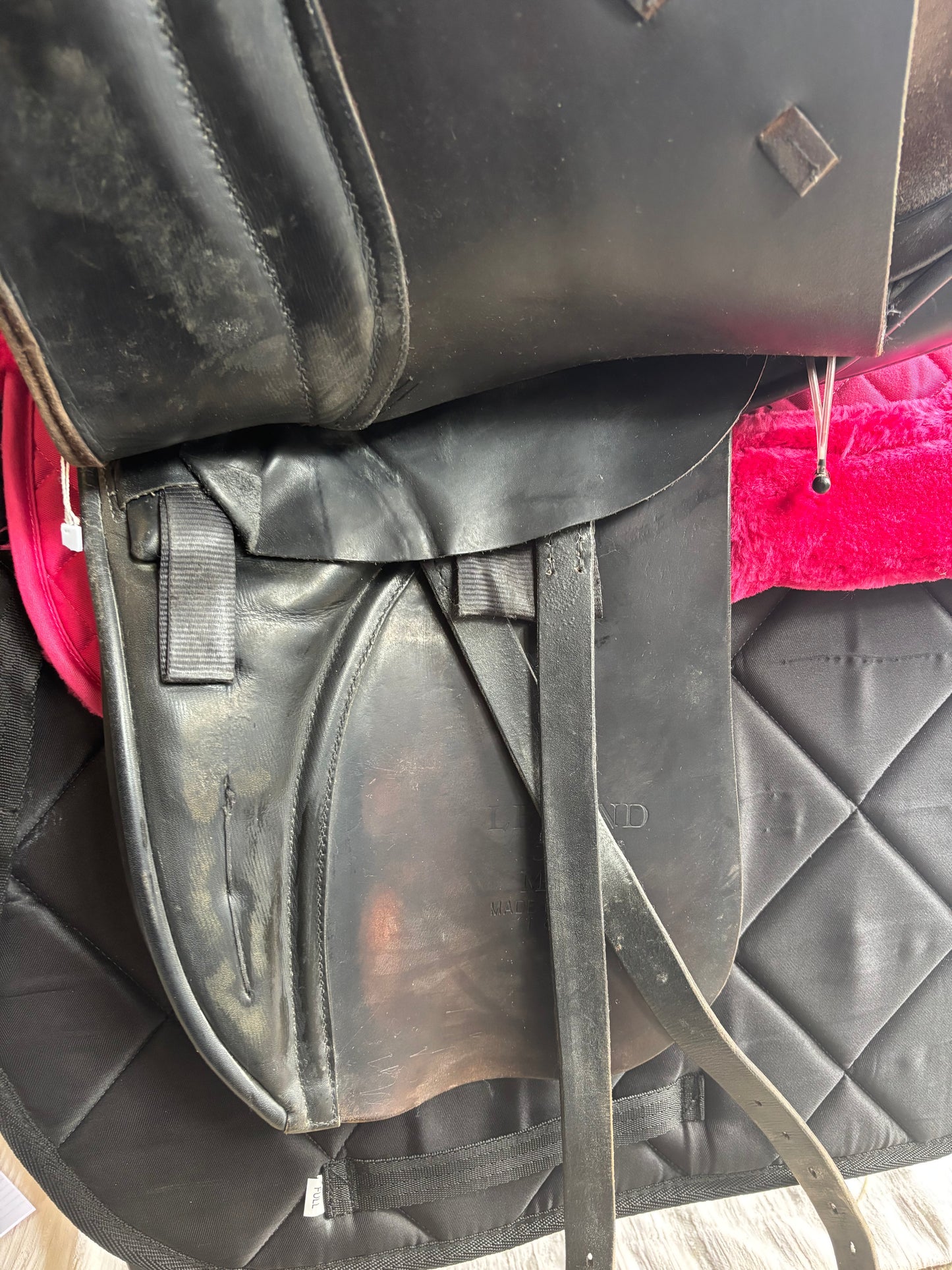 Albion legend 5000 18” Med dressage with flair