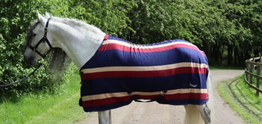 New rhinegold elite fleece in burgundy navy and cream  ❣️