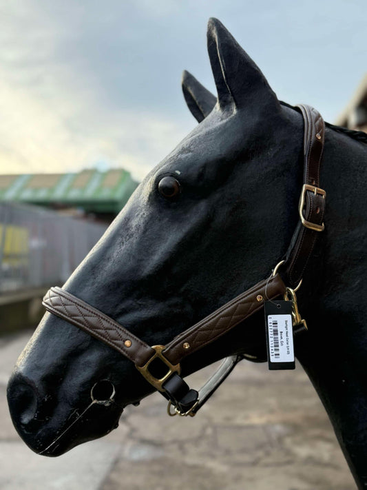 New padded deluxe stitched head collars with gold bling studs ❣️