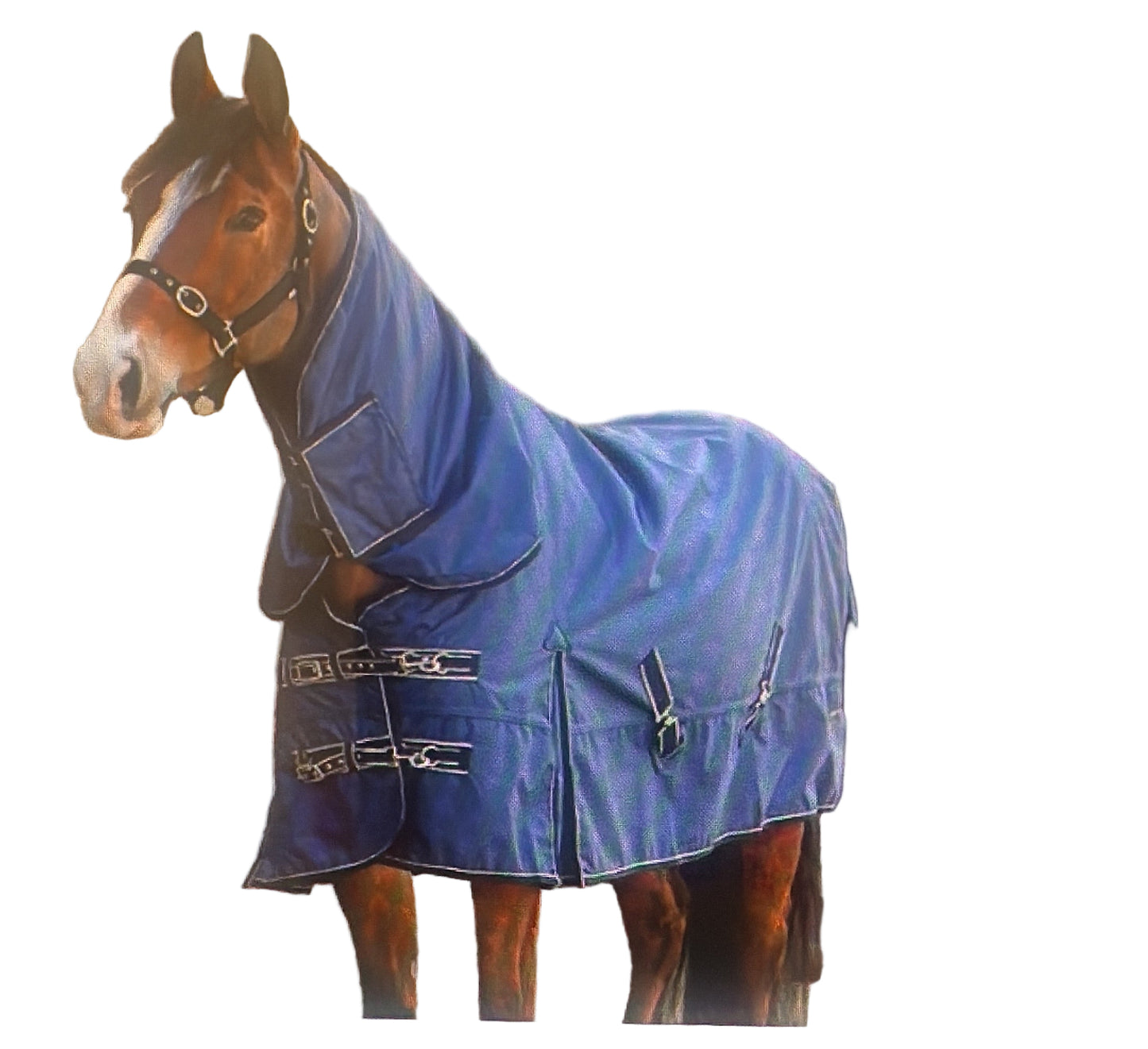 Arizona full neck combo turnout 100g