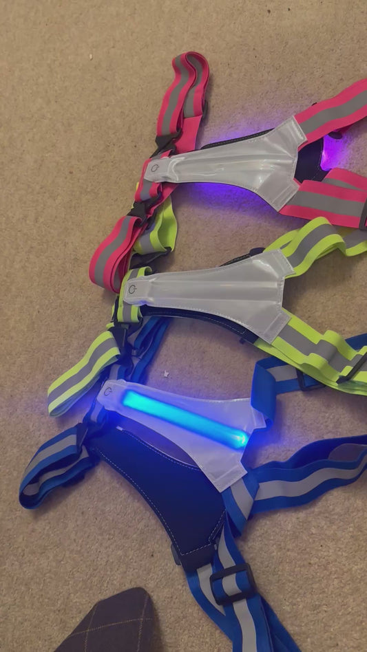 On the hoof LED be safe be seen flashing vest