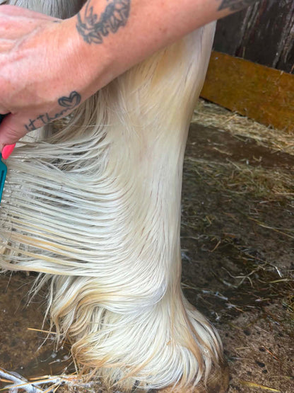 Mane, coat and tail shampoo/ conditioner with combe