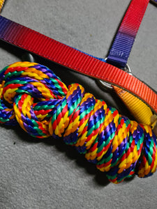 NEW rhinegold rainbow headcollar and lead rope set sizes available cob and full FREE POSTAGE