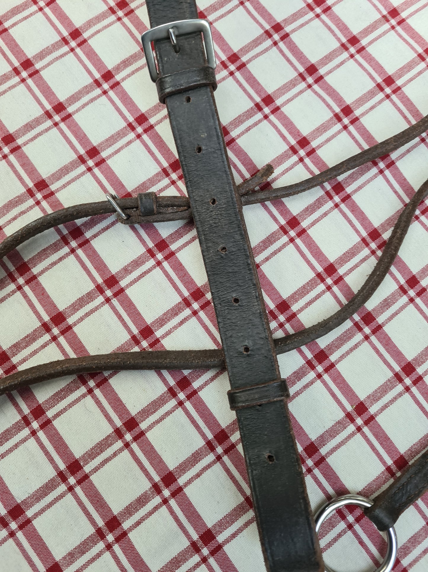 Used brown leather running martingale size full FREE POSTAGE *