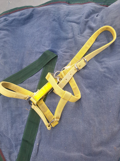 Used full size yellow head collar FREE