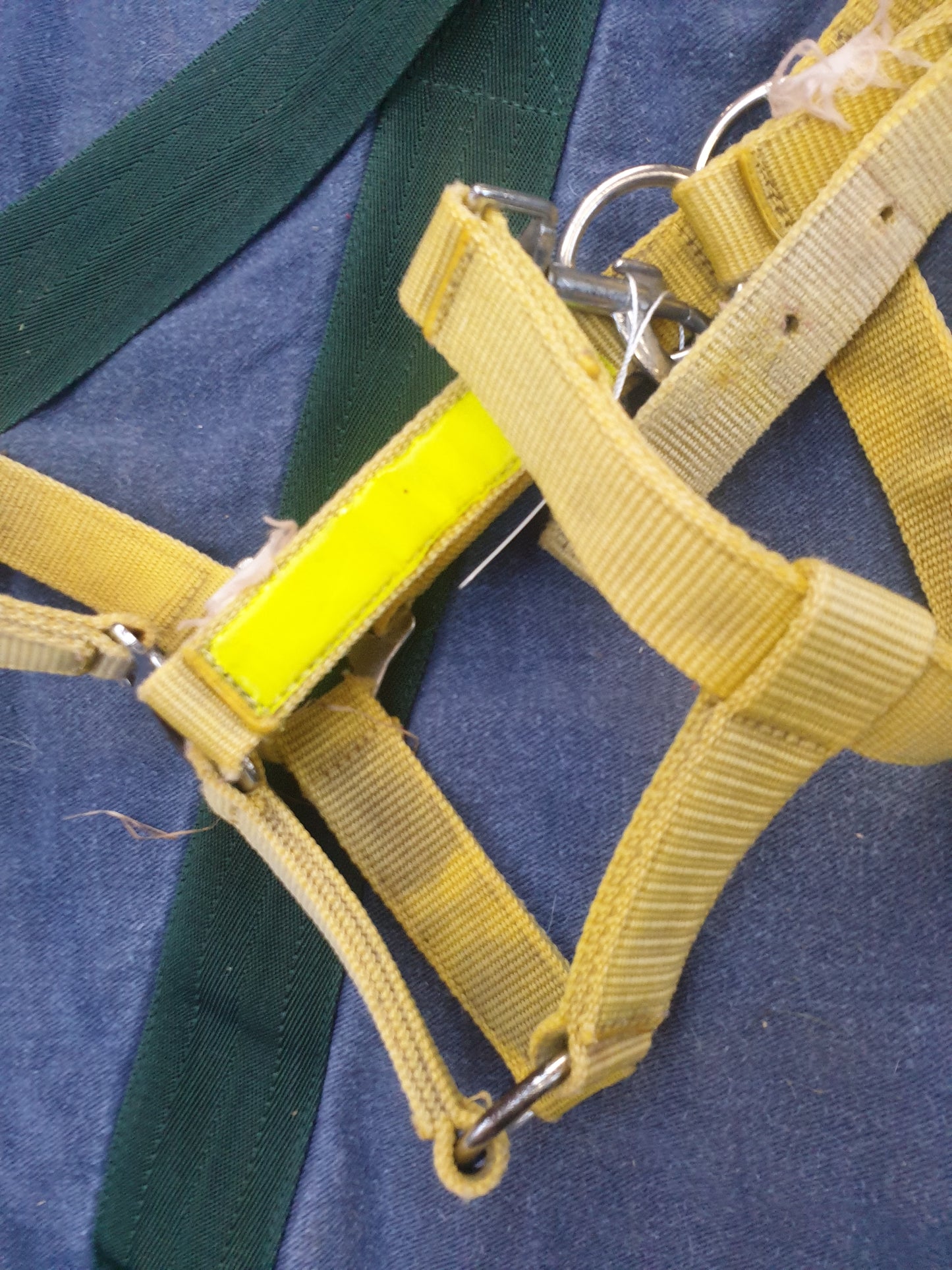 Used full size yellow head collar FREE