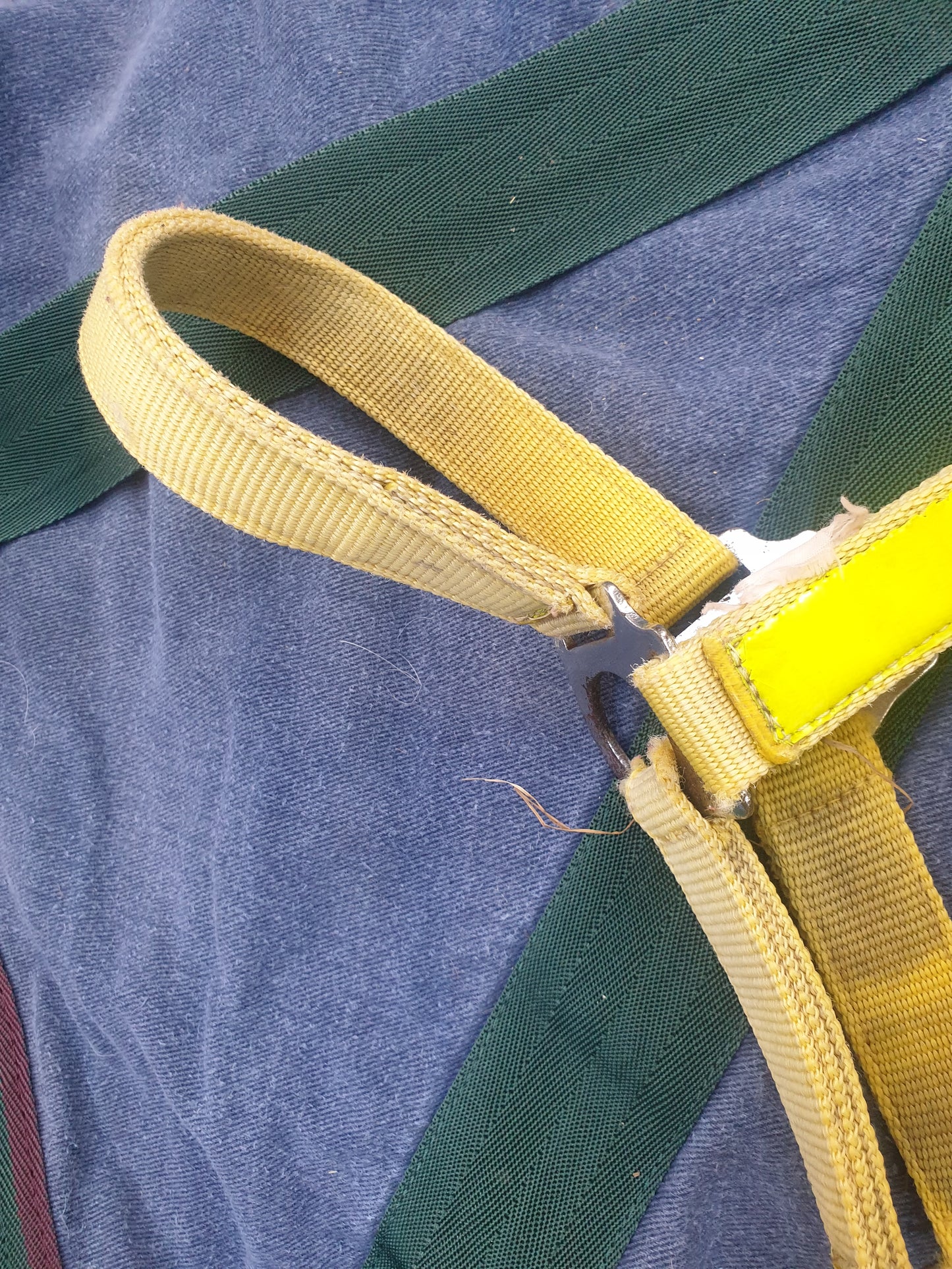 Used full size yellow head collar FREE