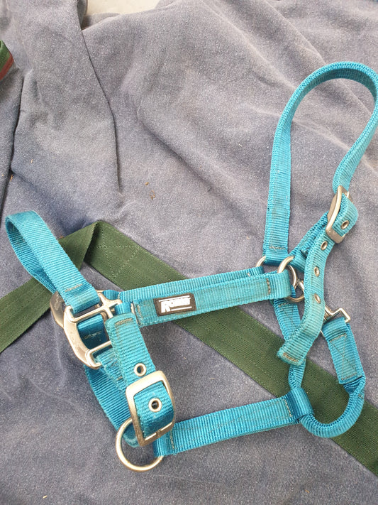 Used cob size blue Roma head collar FREE POSTAGE☆