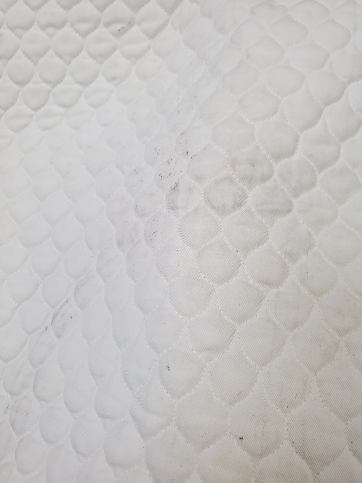 Used full size white Nuumed dressage saddle cloth FREE POSTAGE☆