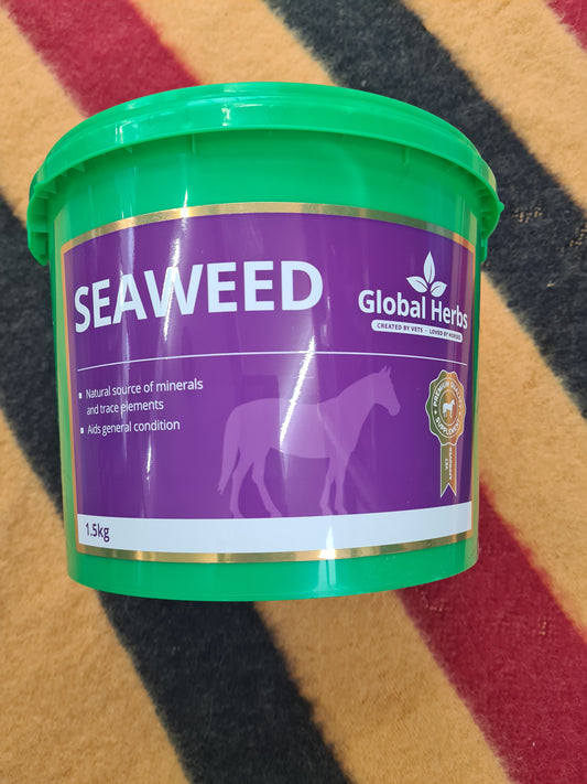 Seaweed by global herbs 1.5kg tub FREE POSTAGE *