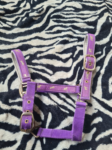 Used pony size purple head collar FREE POSTAGE☆