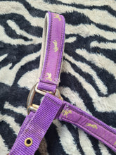 Used pony size purple head collar FREE POSTAGE☆