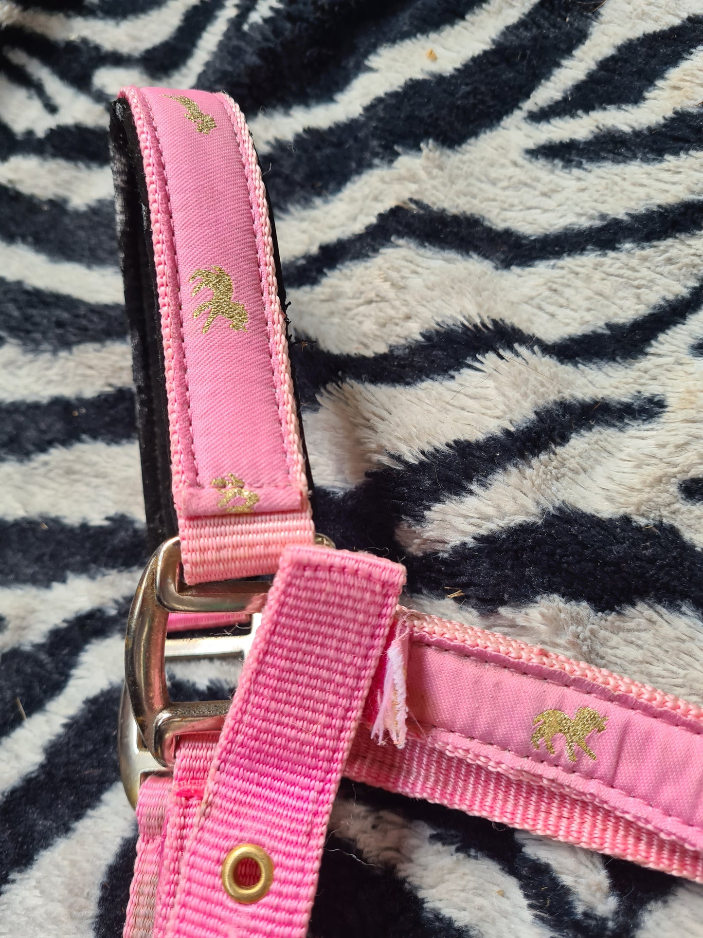 Used pony size pink head collar FREE POSTAGE☆