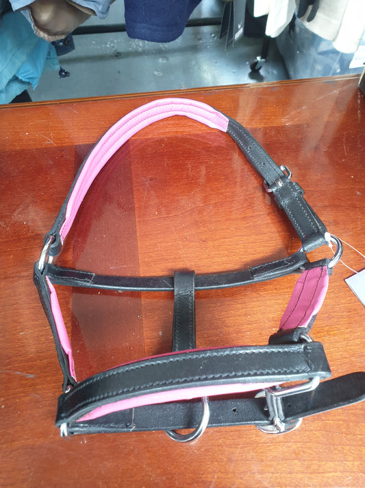 NEW Shetland black and pink leather headcollar FREE POSTAGE