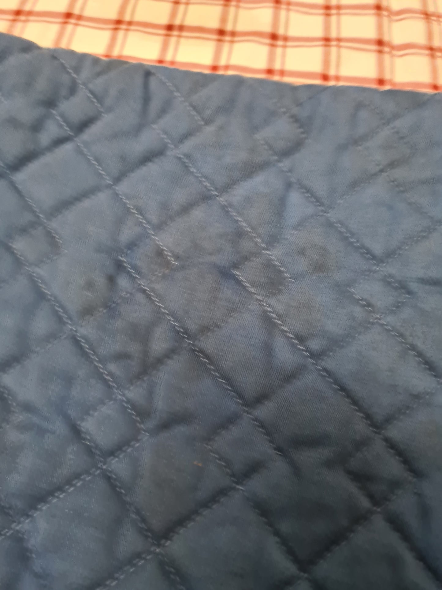 Saddle cloth size cob blue FREE POSTAGE 🟢