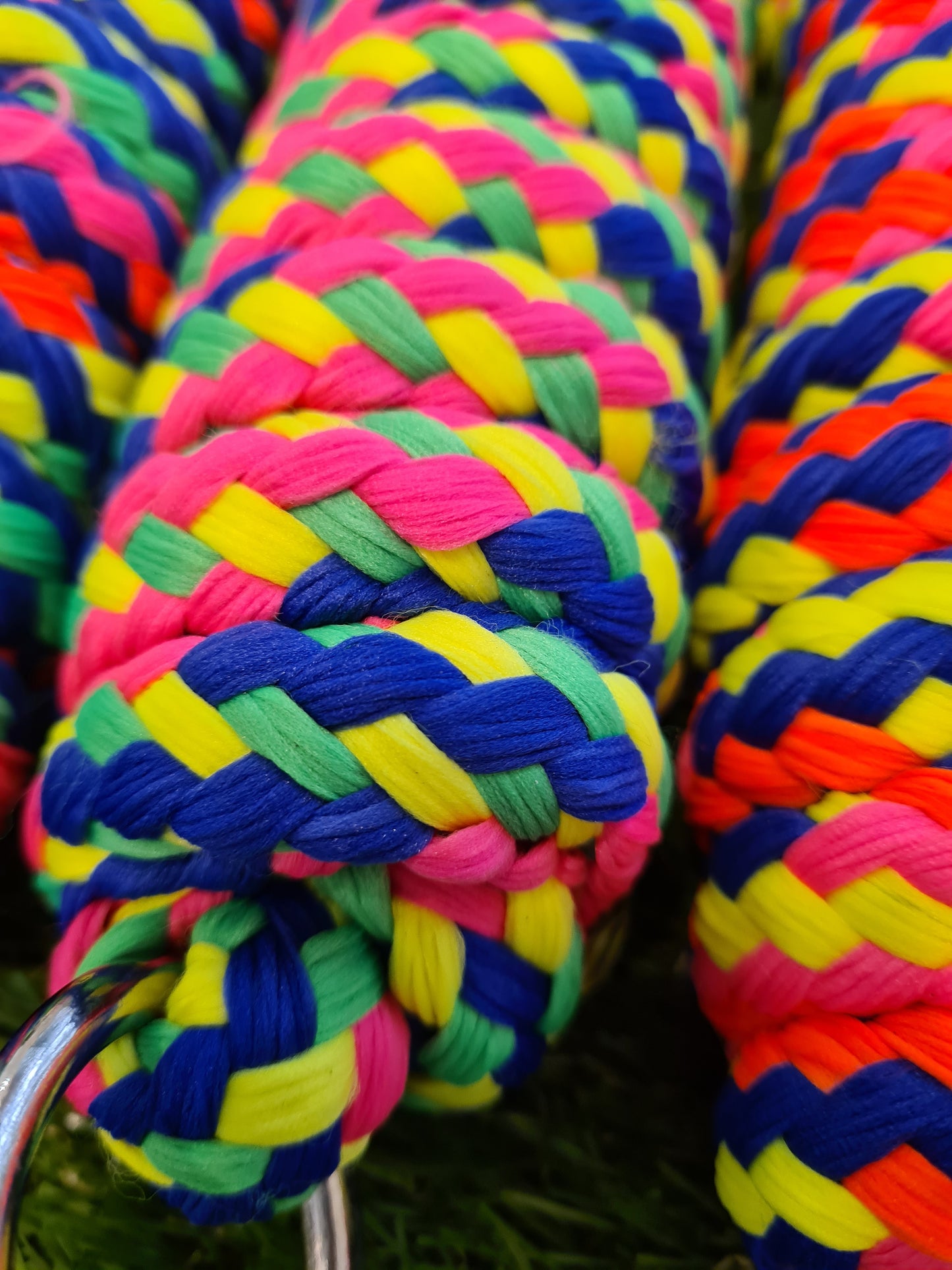 NEW 2x  Neon Brights lead ropes FREE POSTAGE 🟢