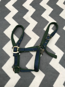 Shires full size green and navy head collar FREE POSTAGE