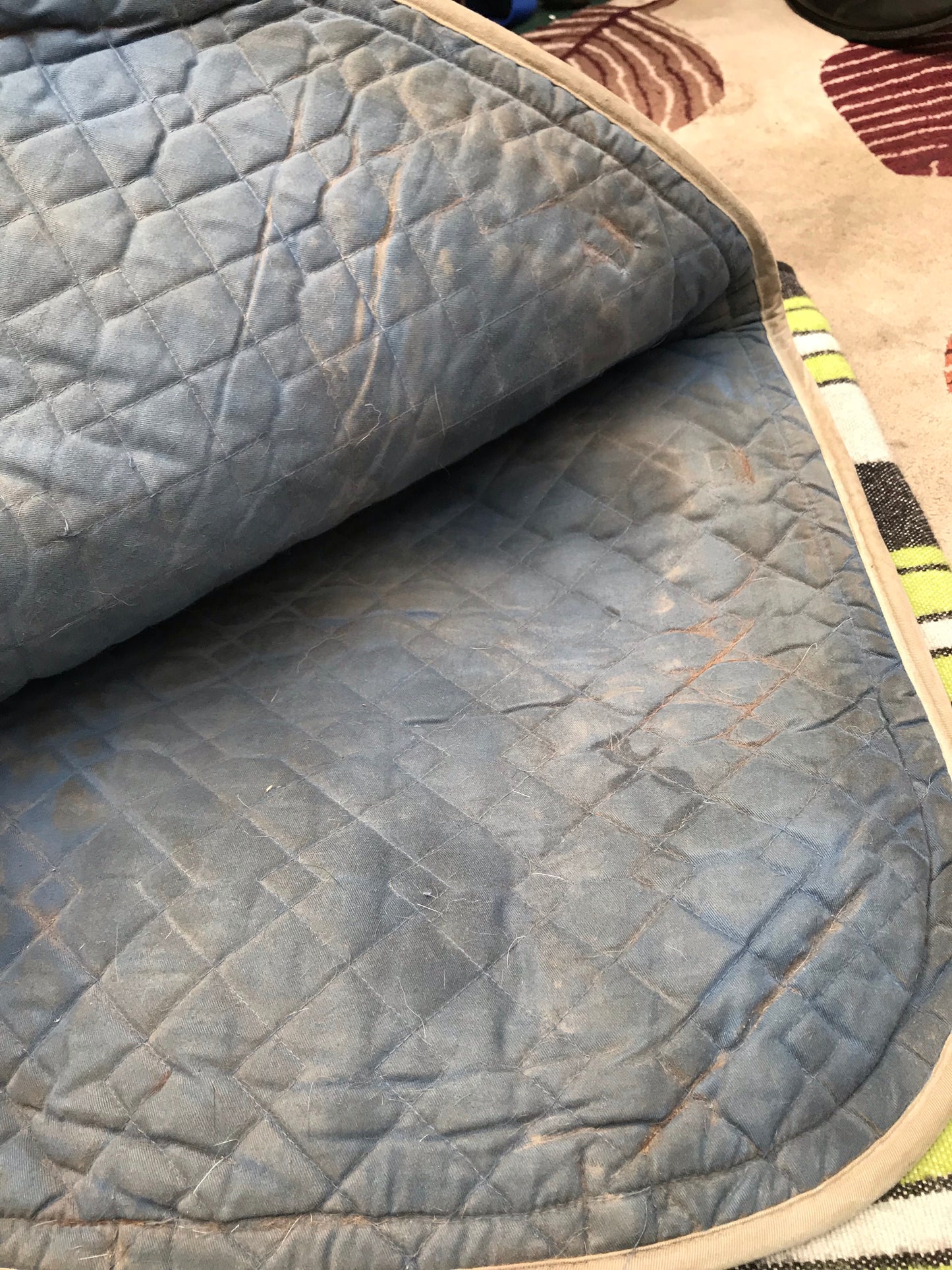 blue cob/full size saddle cloth FREE POSTAGR