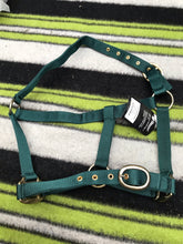 new rhinegold green pony head collar FREE POSTAGE ■
