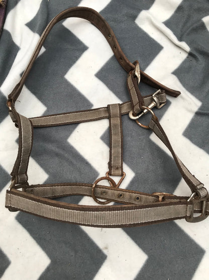 Brown cob size head collar FREE POSTAGE