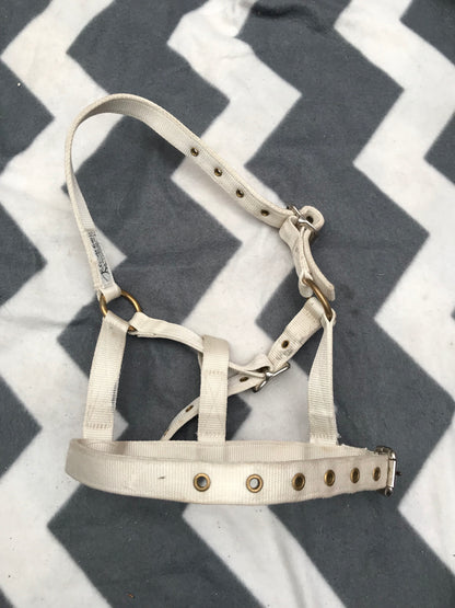 Cottage Craft Foal size head collar FREE POSTAGE