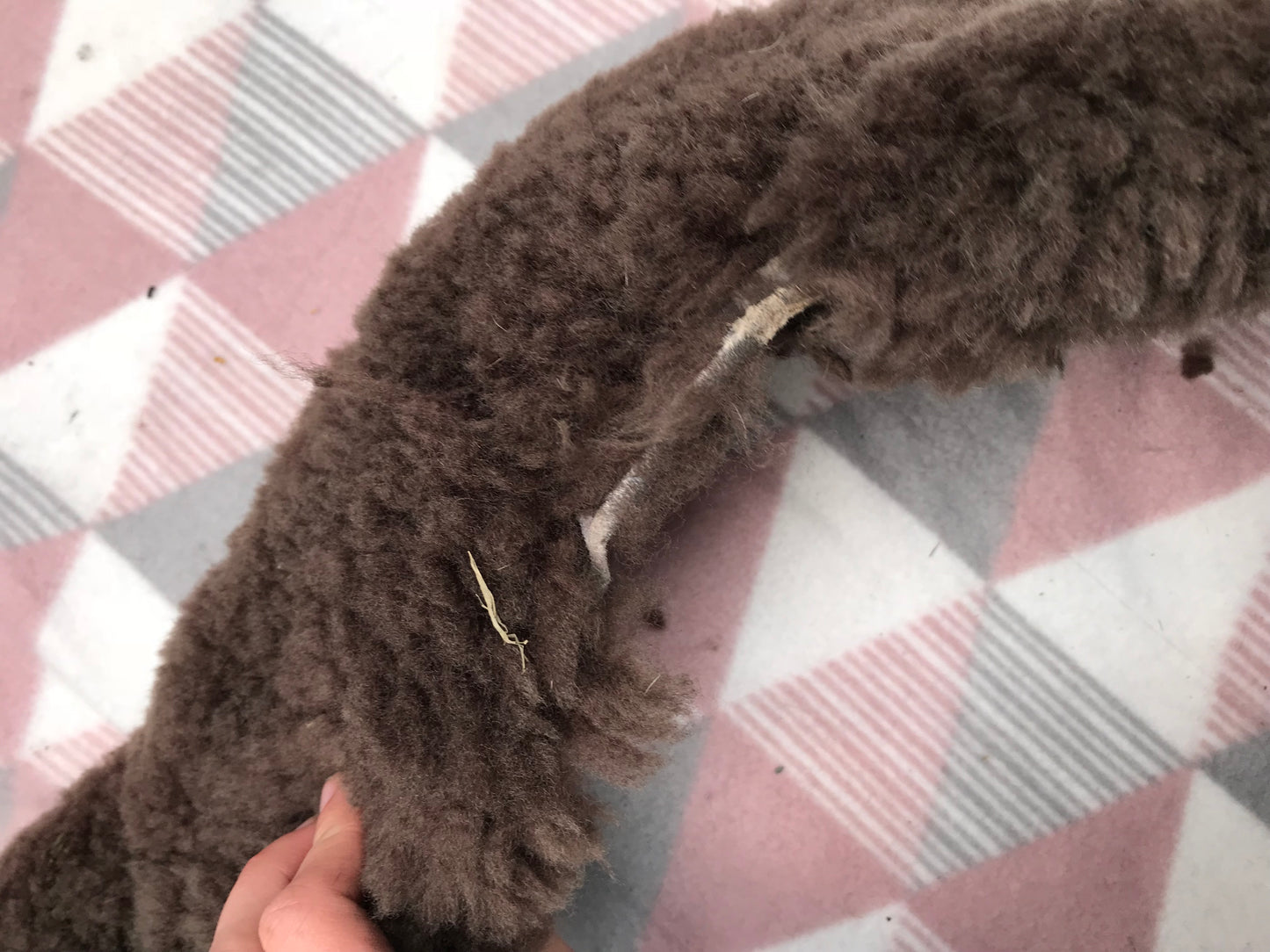 Caldene real sheepskin girth sleeve brown 29” FREE POSTAGE