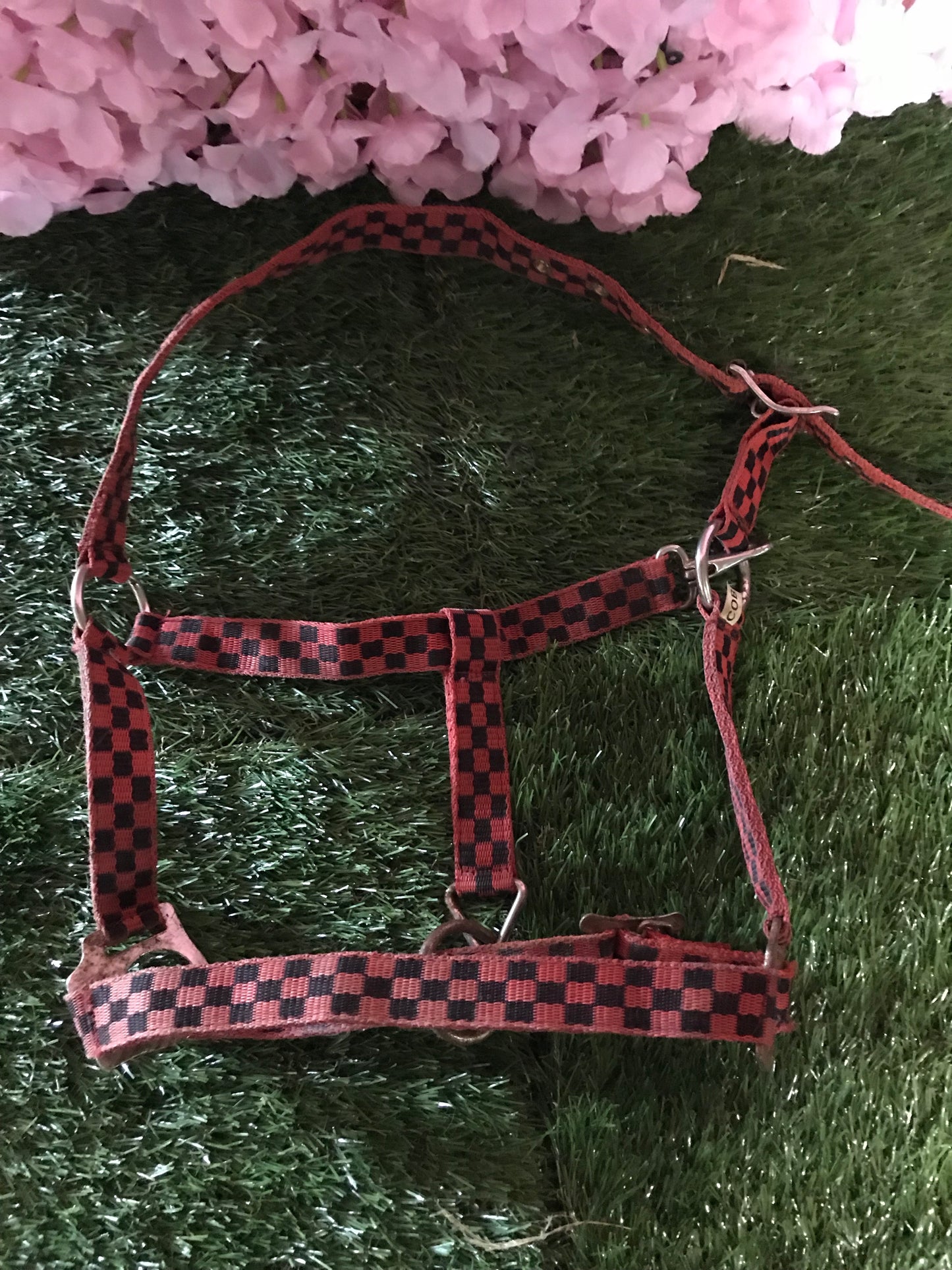 Red and black checked cob head collar FREE POSTAGE