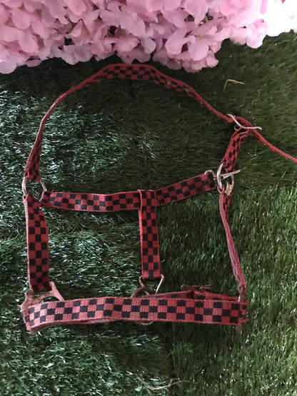 Red and black checked cob head collar FREE POSTAGE