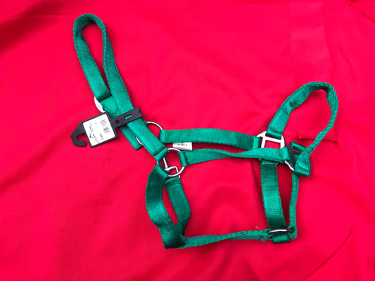 New Horse harmony full size green head collar FREE POSTAGE