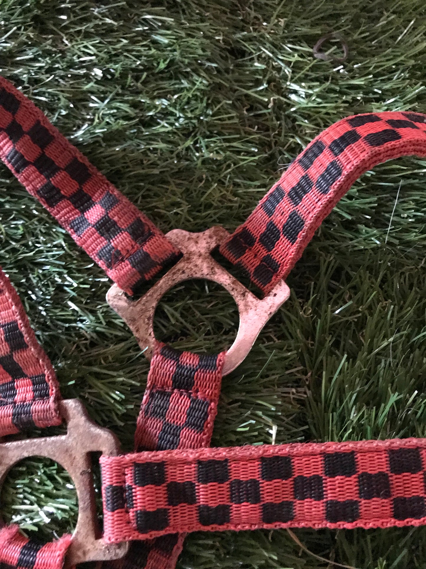 Red and black checked cob head collar FREE POSTAGE