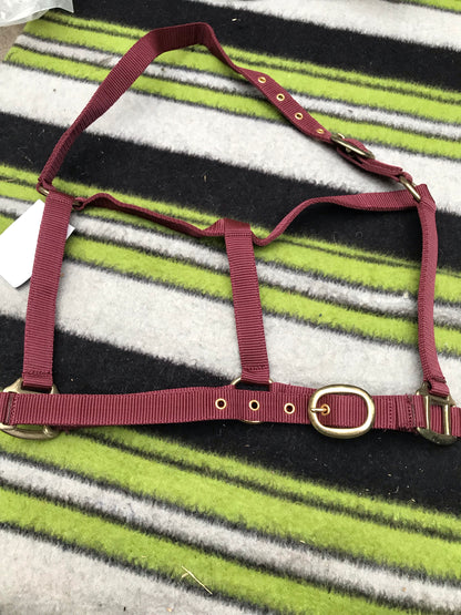 new rhinegold burgundy head collar full size FREE POSTAGE