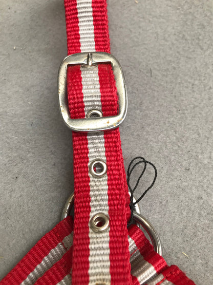 Wessex red and silver pony size head collar FREE POSTAGE ■