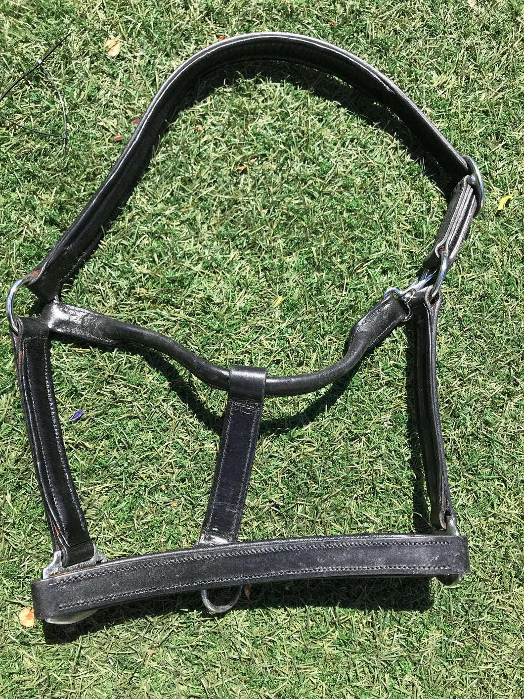 NEW equi-craft deluxe black head collar cob size FREE POSTAGE