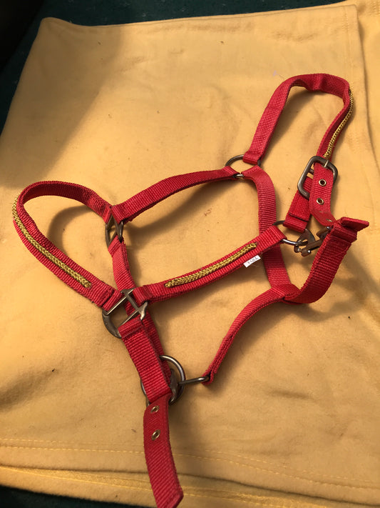 BRAND NEW full size red and gold headcollar FREE POSTAGE