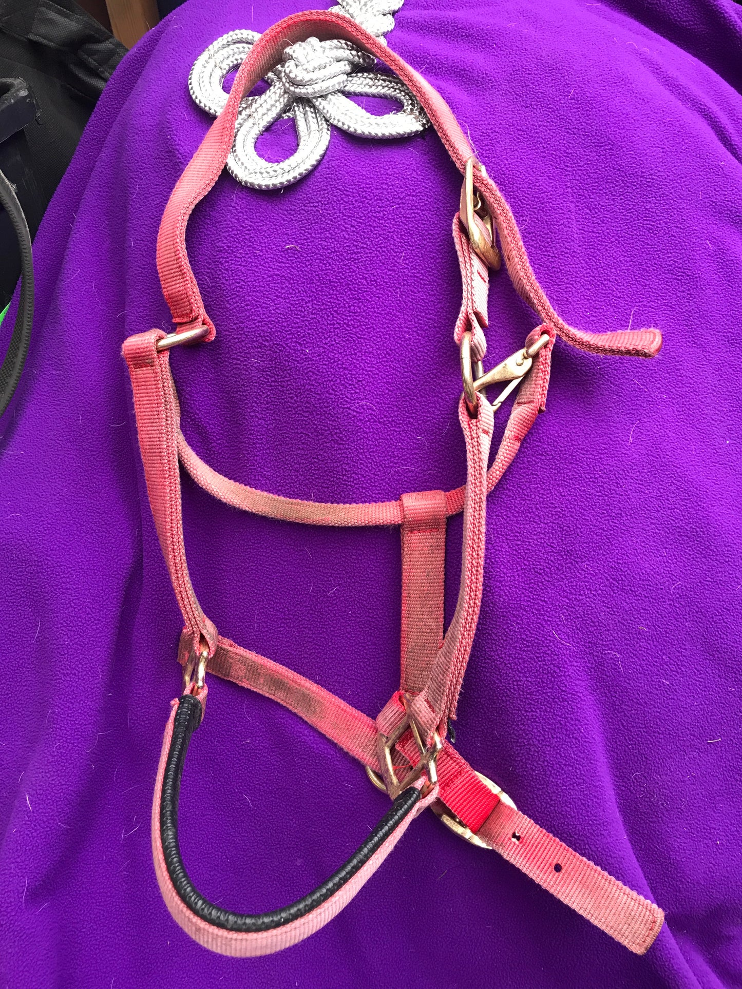 Red Shires head collar size: full(FREE POSTAGE )