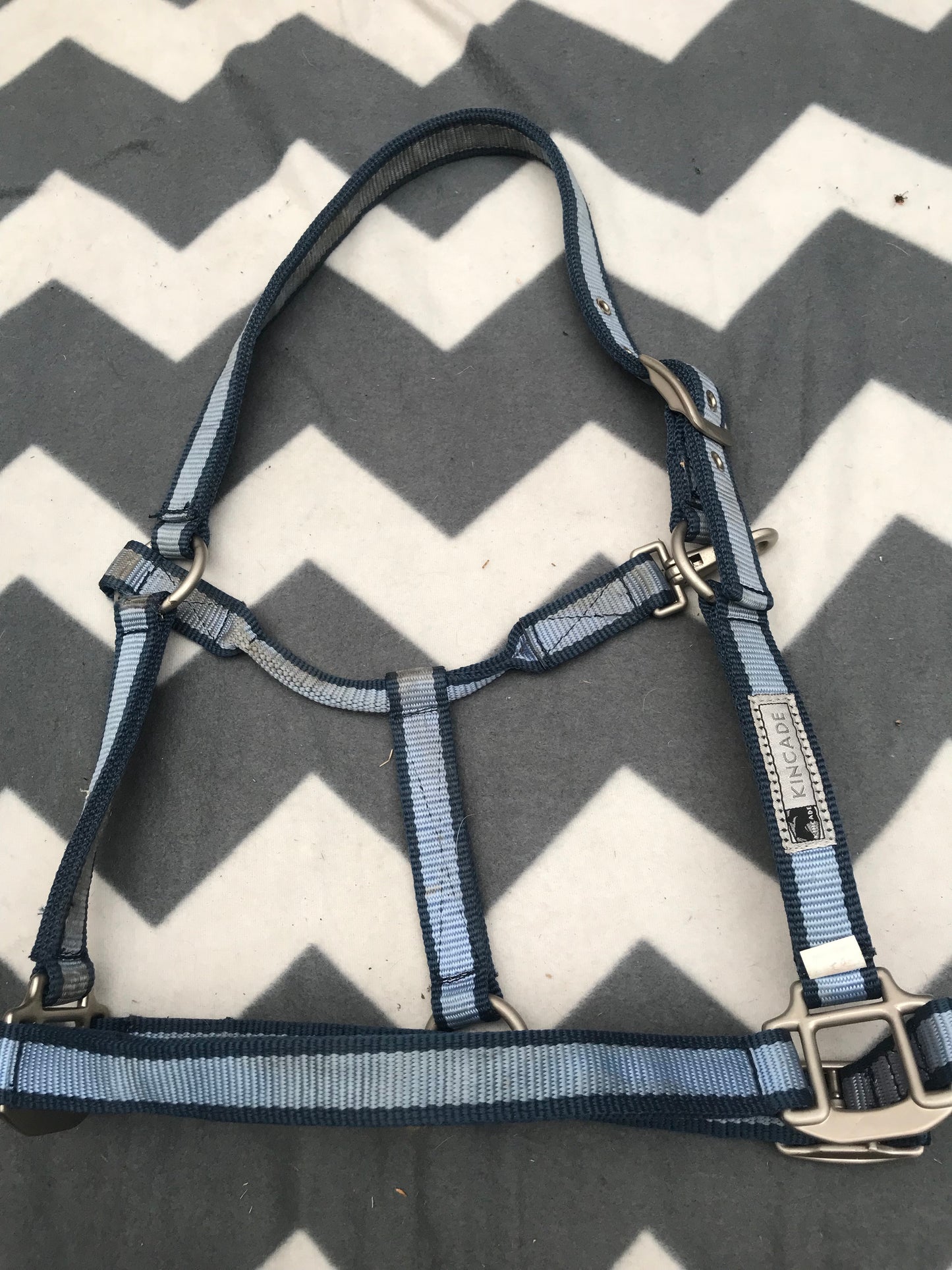 Kincade blue and navy head collar full size FREE POSTAGE