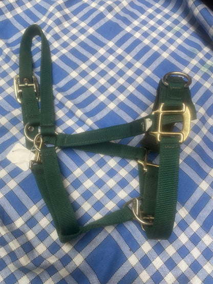 Green cavasson head collar full size FREE POSTAGE🟢