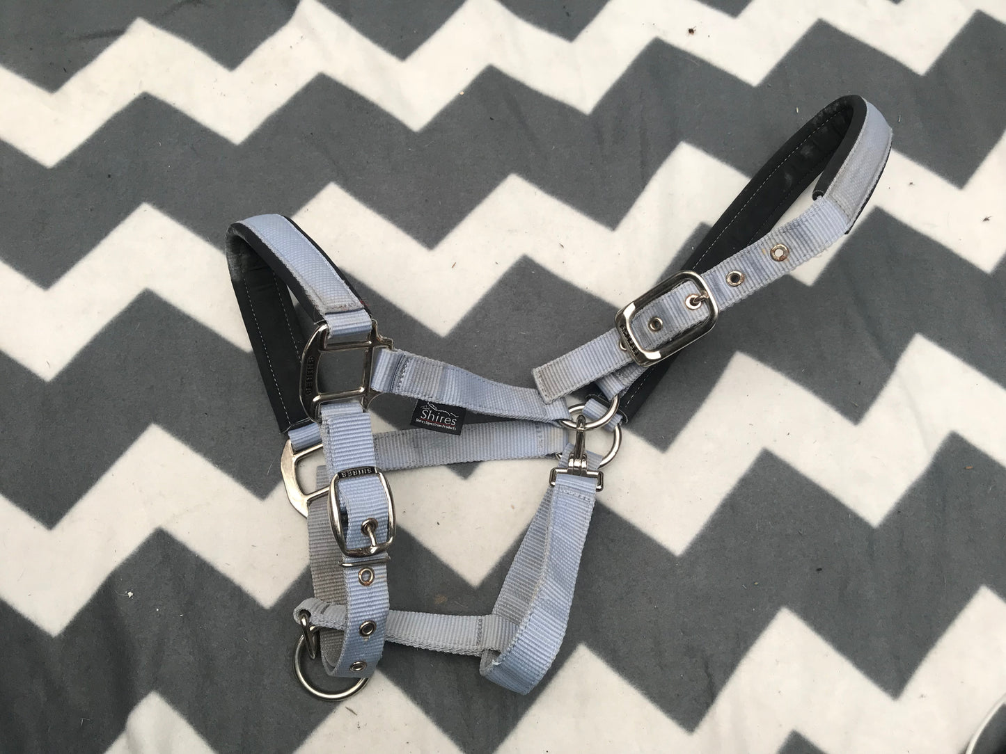 Shires full size light blue head collar FREE POSTAGE