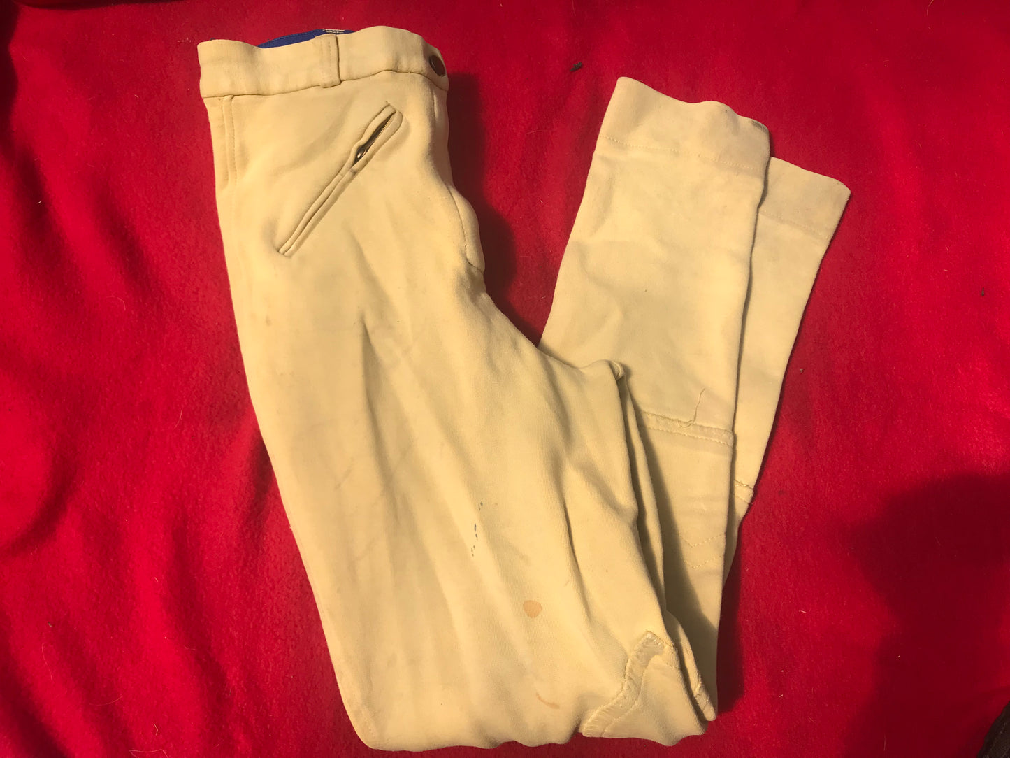 royston cream jodhpurs size 8 (26) FREE POSTAGE