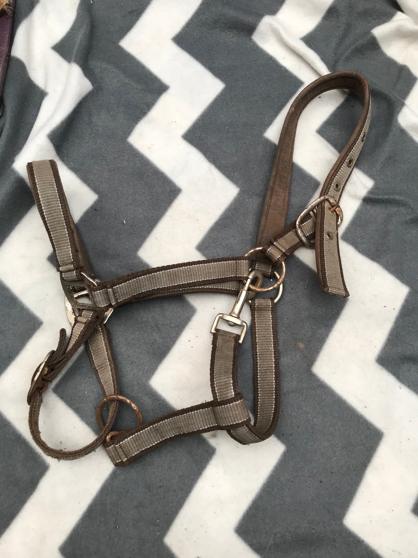 Brown cob size head collar FREE POSTAGE