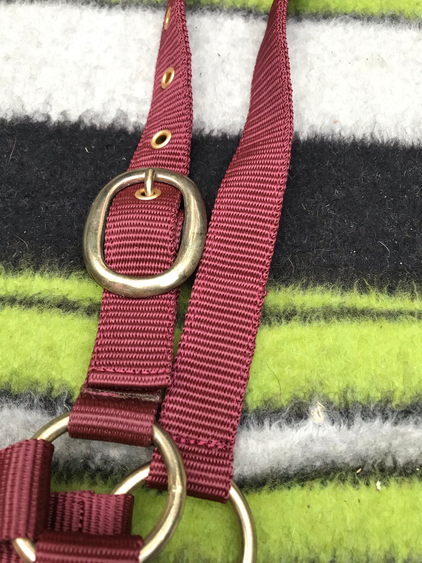 new rhinegold burgundy head collar full size FREE POSTAGE