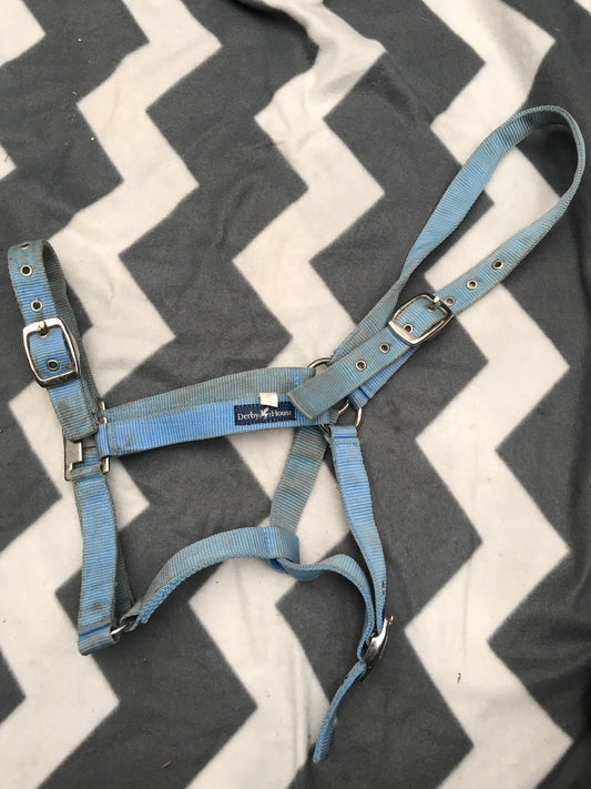 Derby house light blue head collar full size FREE POSTAGE