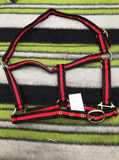 NEW black and red head collar pony size FREE POSTAGE ■