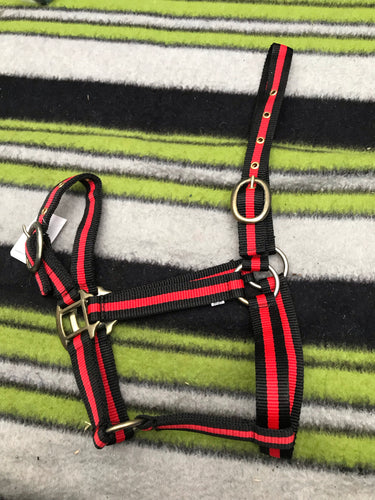 NEW black and red head collar pony size FREE POSTAGE ■