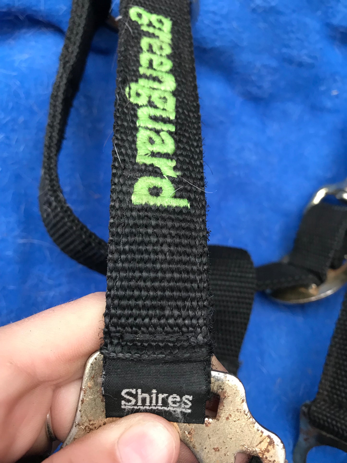 Black Shires ( green guard) Large Pony Head Collar FREE POSTAGE ■