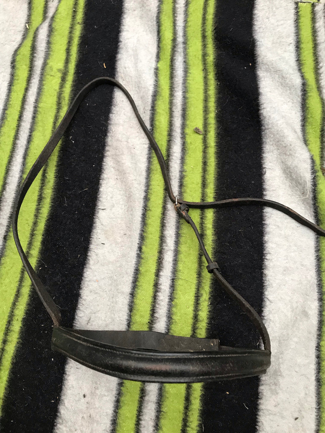 black leather full size nose band FREE POSTAGE