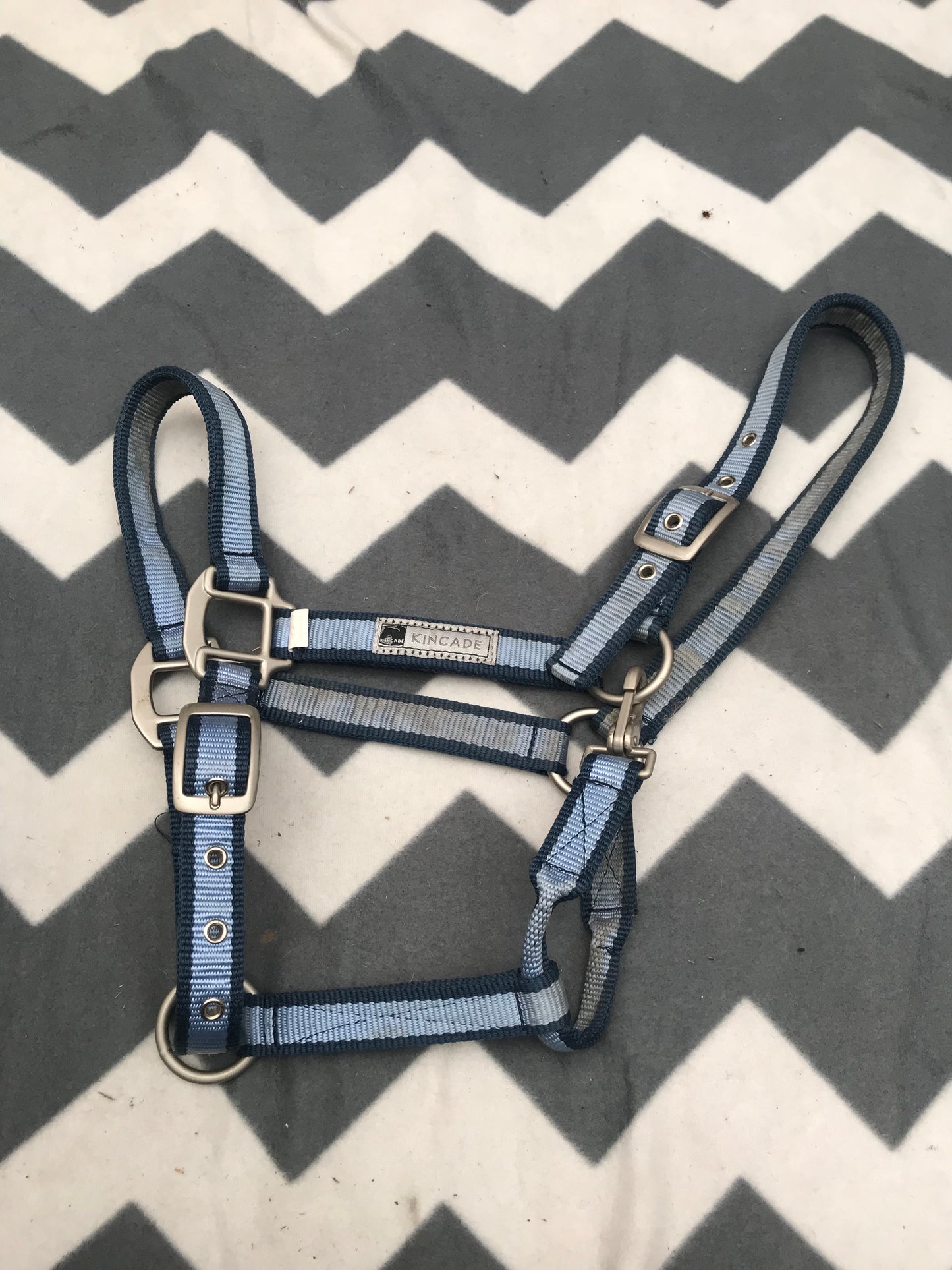 Kincade blue and navy head collar full size FREE POSTAGE